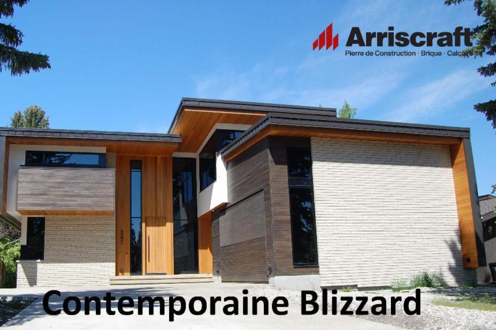 Contemporaine Blizzard